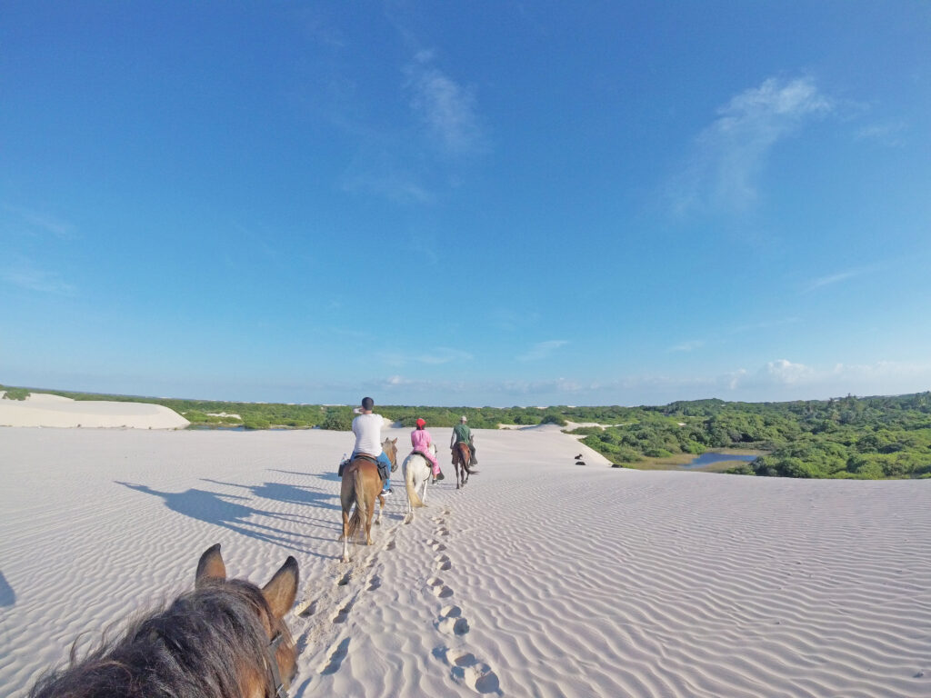 Cavalos nas dunas dos lençois maranhenses