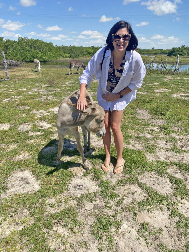 mulher brincando com burro pequeno em um gramado com lago ao fundo