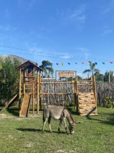 playground em madeira para crianças na pousada Vila Aty e burrinho comendo grama em frente