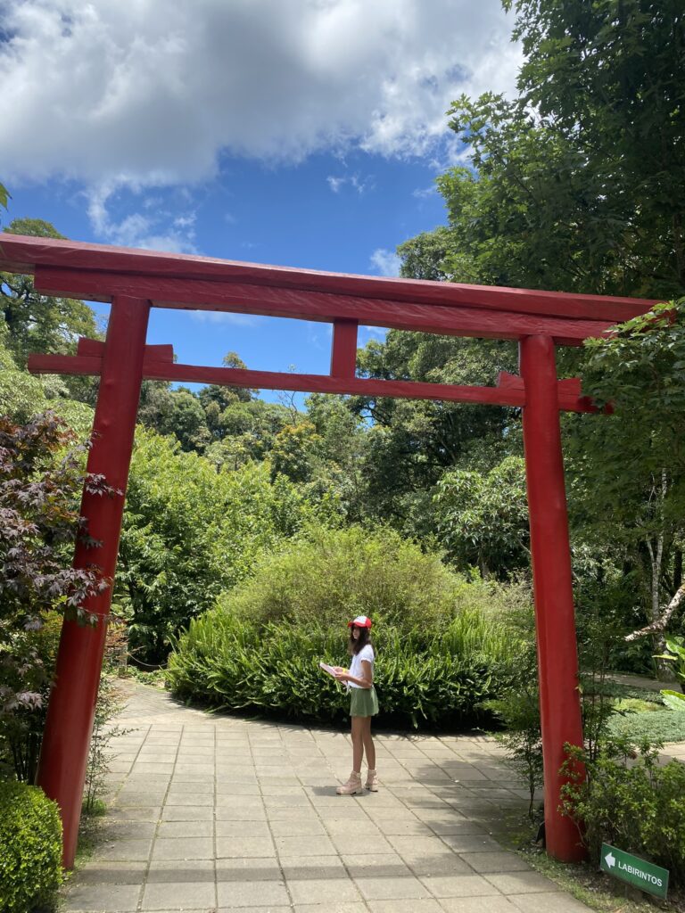 tori japones vermelho no jardim do parque amantikir