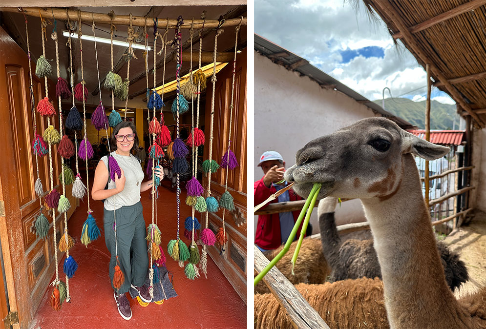 produção de lã de alpaca numa cooperativa de artesãos