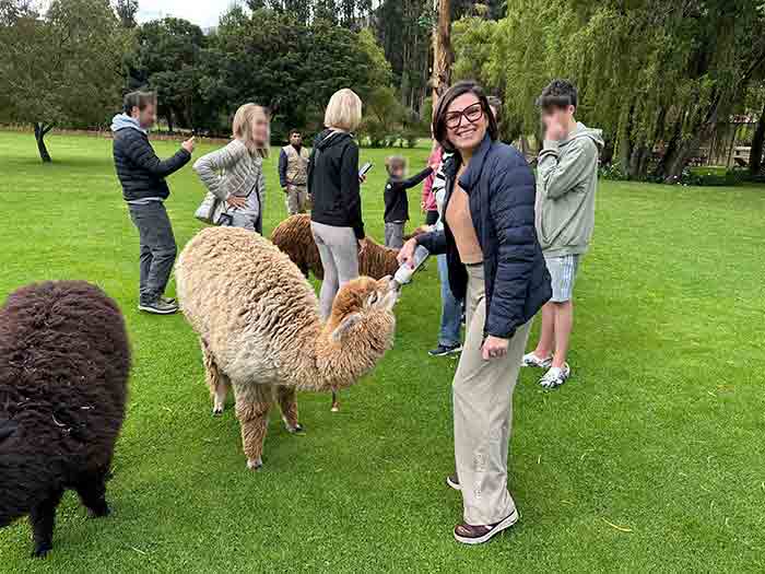 hospedes do hotel Belmond no vale sagrado do Peru alimentando alpacas com mamadeiras