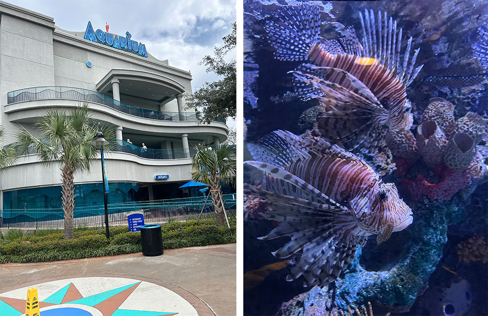 Fachada do aquário de Houston e peixes Lion Fish
