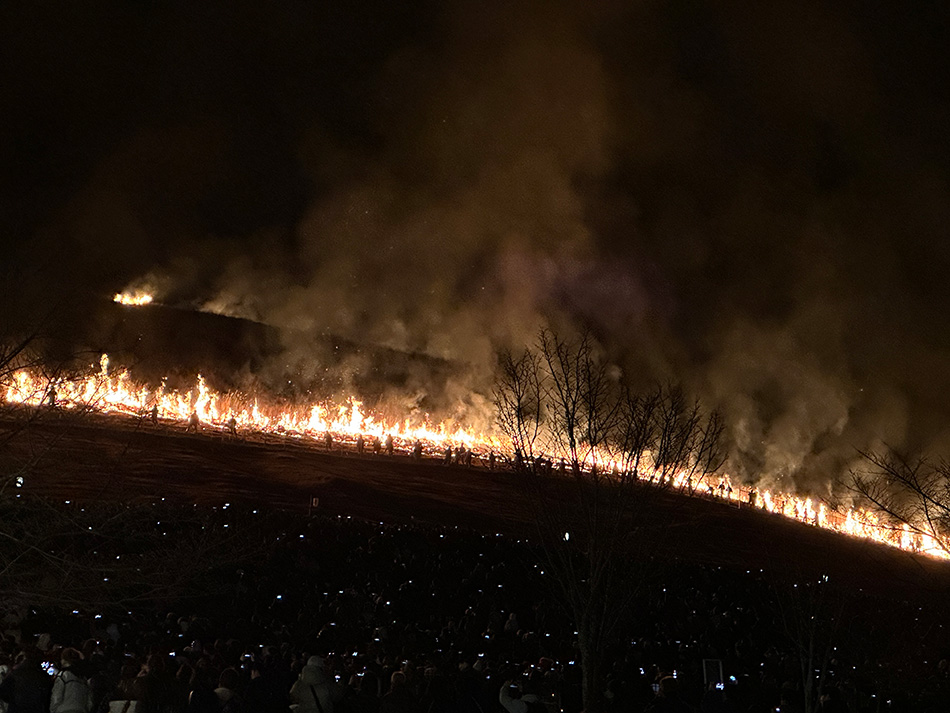 queima do Monte Wakakusa no festival de Nara em janeiro