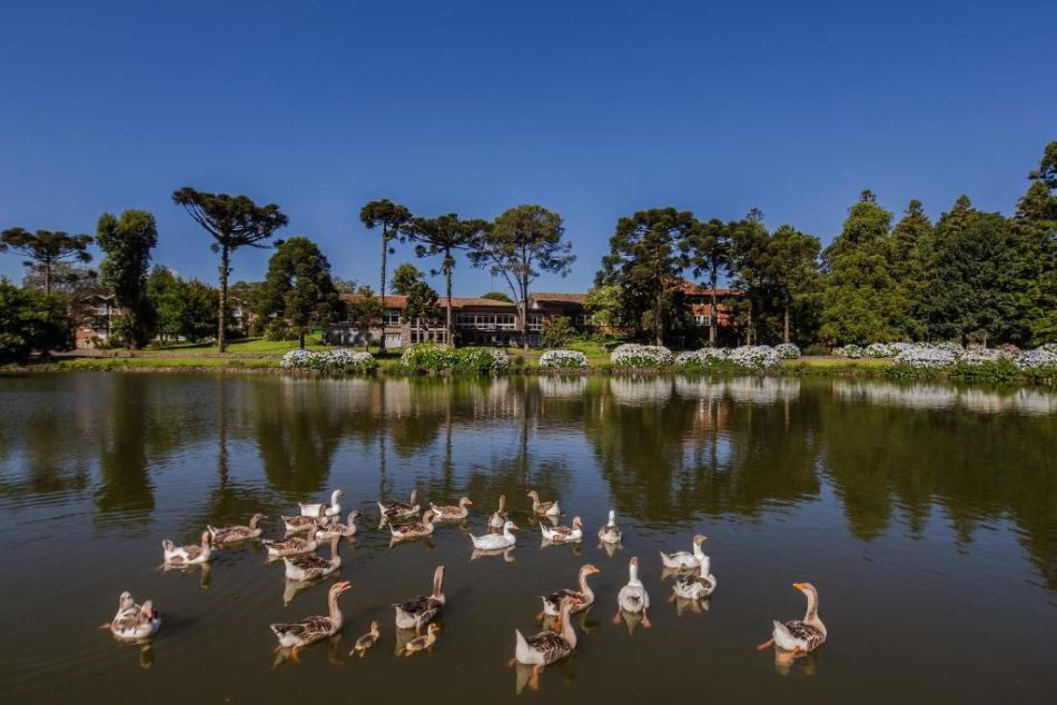 lago com patos do Grande Hotel Canela