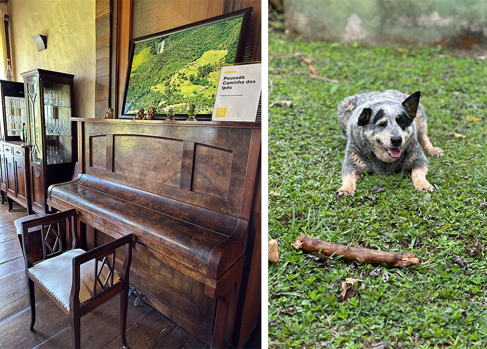 um piano na sala e a cachorrinha Ipê no gramado da pousada