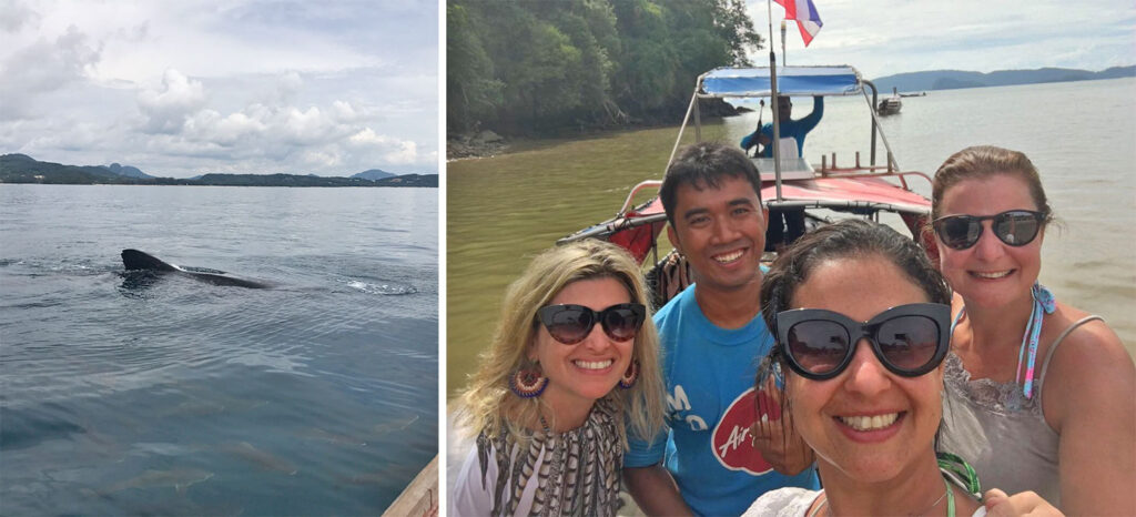 tubarão baleia passando perto do longtail boat em krabi na tailandia