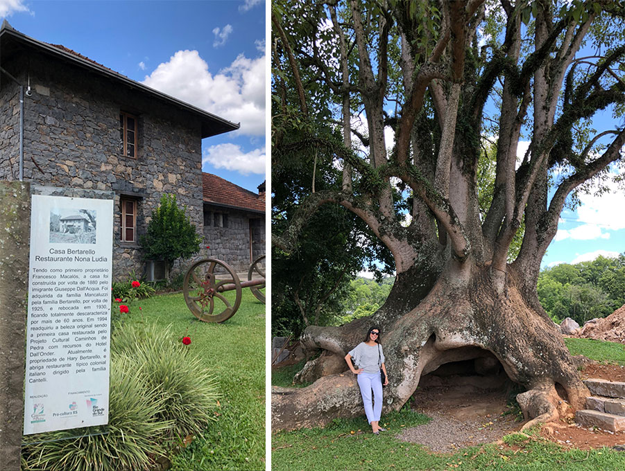 fachada do restaurante e árvore no caminho de pedra