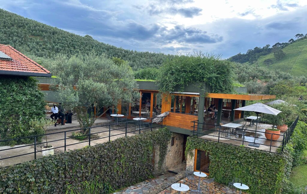 o que fazer em são bento do sapucai - visita à Oliq Azeites - restaurante e olival