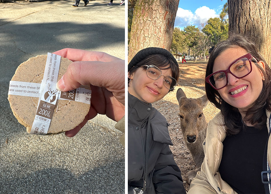 biscoitos para alimentar os cervos no parque de nara