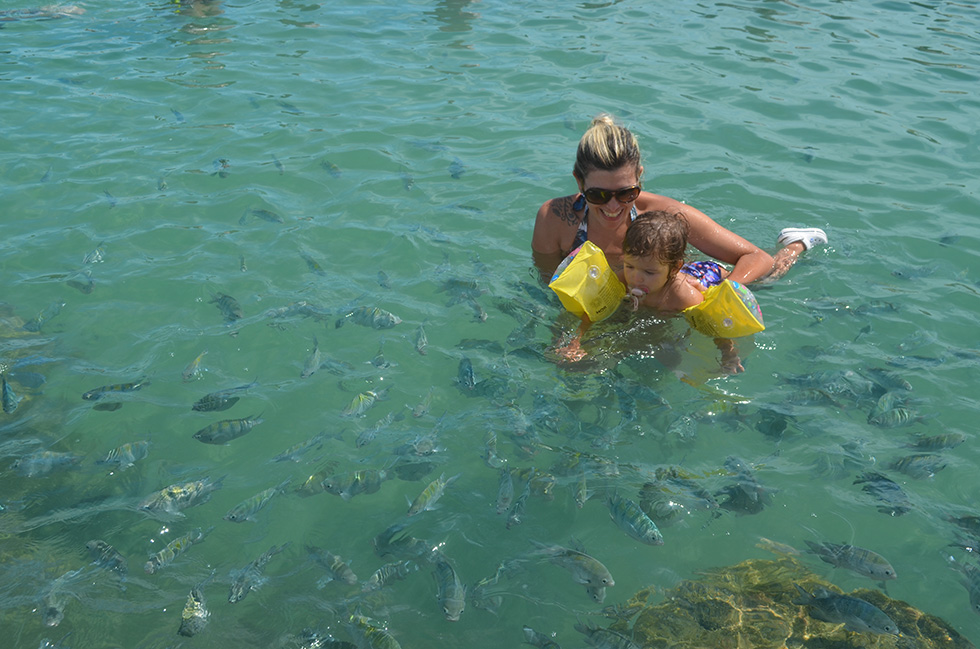 piscinas natuaris com peixinhos em Porto de Galinhas