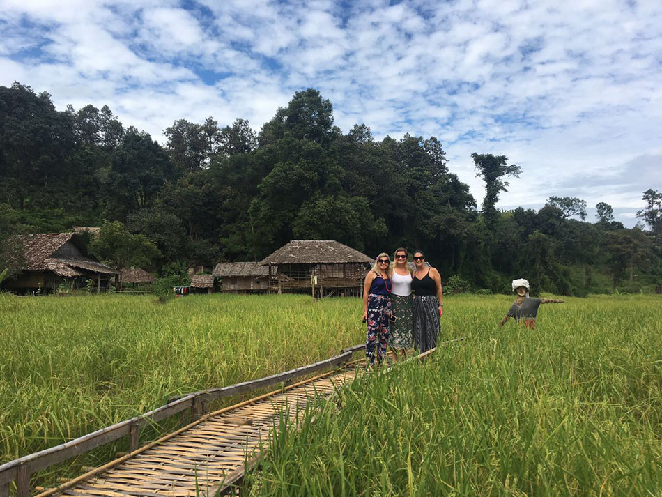 campos de arroz na vila das mulheres Karen em Chiang Mai