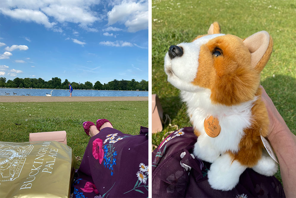 vista do hyde park em londres e corgi de pelúcia da loja do palácio de buckingham