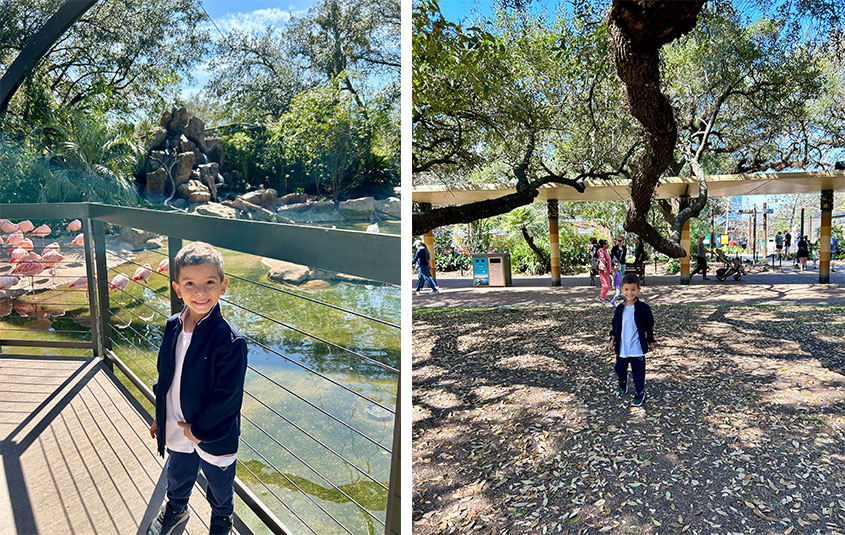 menino passeando pelos parques de Houston nos Estdaos Unidos