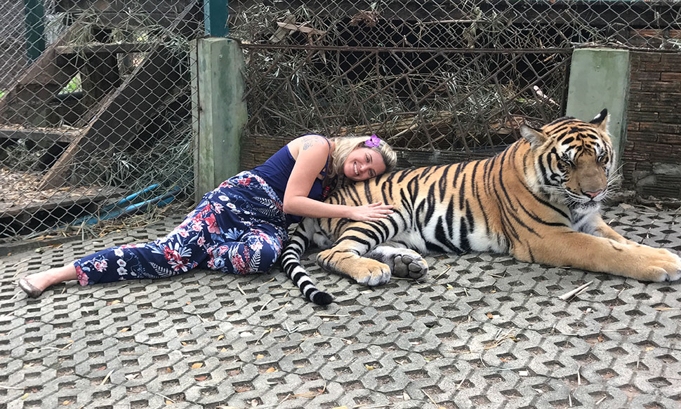 mulher abraça um tigre em chiang mai