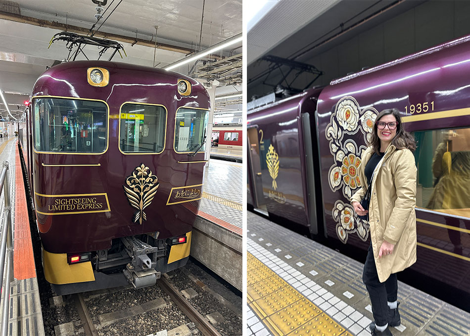 trem de luxo decorado que faz o roteiro de quioto até nara em 40 minutos